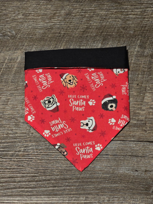 Santa Paws - Bandana