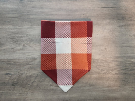 Fall Harvest - Over the Collar Doggie Bandana