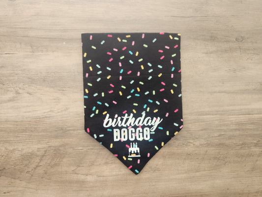 Birthday Doggo - Over the Collar Doggie Bandana