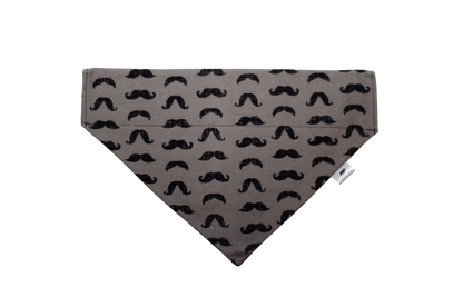 Whiskers - Over the Collar Doggie Bandana