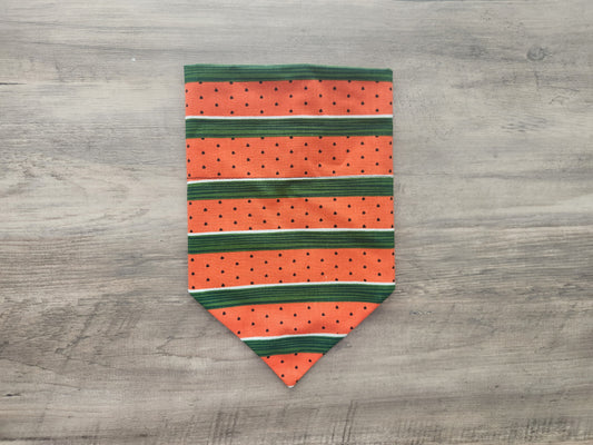 Juicy - Over the Collar Doggie Bandana
