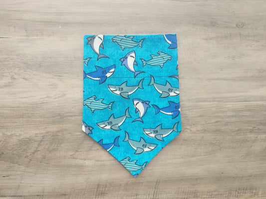 Sharkie - Over the Collar Doggie Bandana